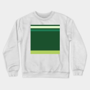 A fascinating customization of Dark Sea Green, Medium Aquamarine, Very Light Green, Pine and Light Olive stripes. Crewneck Sweatshirt